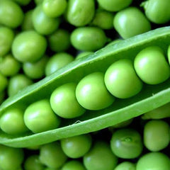 Hybrid Peas () Seeds