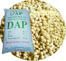 DAP Fertilizer-Diammonium Phosphate (1 kg) | High-Phosphorus Plant Nutrition