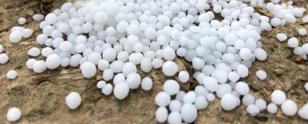 Zinc Fertilizer for Plants (500 gm) | Prevent Zinc Deficiency & Boost Growth
