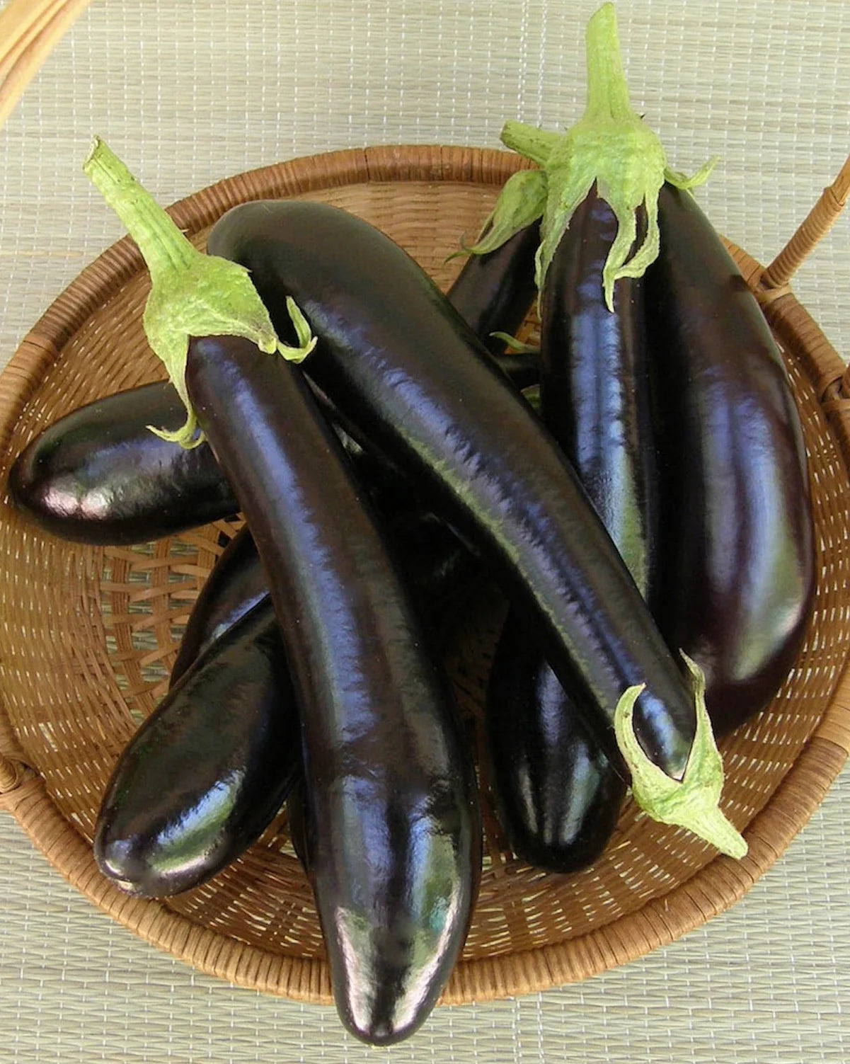 Melanzana Violetta Lunga 2 Seeds – Italian Long Purple Eggplant for Kitchen Gardens