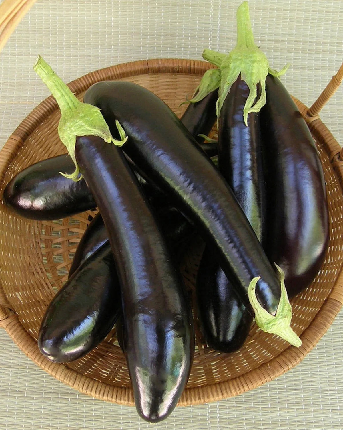 Melanzana Violetta Lunga 2 Seeds – Italian Long Purple Eggplant for Kitchen Gardens