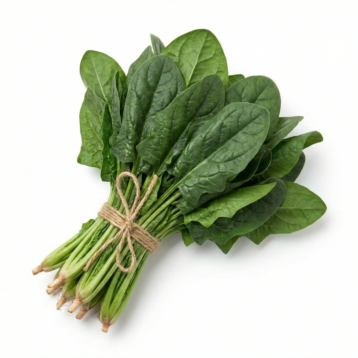 Lahori Palak Organic Seeds  Traditional Desi Spinach for Pakistani Kitchen Gardens
