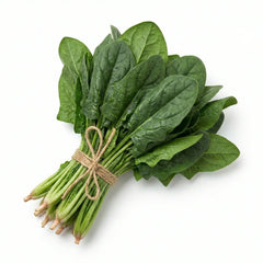 Lahori Palak Organic Seeds  Traditional Desi Spinach for Pakistani Kitchen Gardens