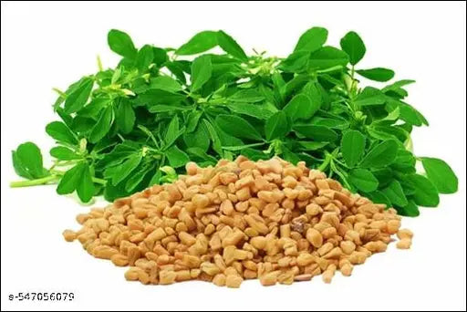 Hybrid Maithray Seeds  Fresh, Nutritious & High-Yield Fenugreek