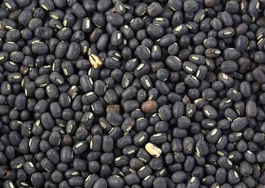 Mash Dal Seeds – Premium Black Gram (Urad Dal) Seeds