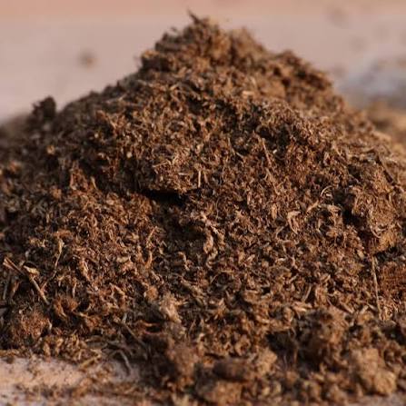Imported Professional Peat Moss (500 gm)
