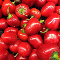 Pimento Pepper Seeds (Hybrid) – Sweet Thick-Fleshed Red Pepper