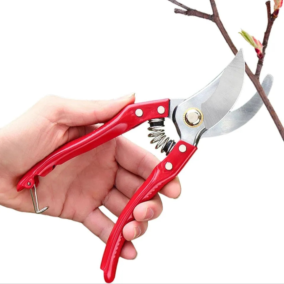 Plant Pruner  Perfect Tool for Small Plants & Precise Cutting