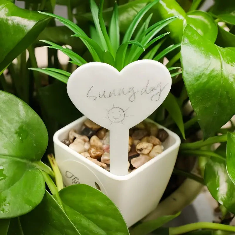 Heart-Shaped Plant Tags