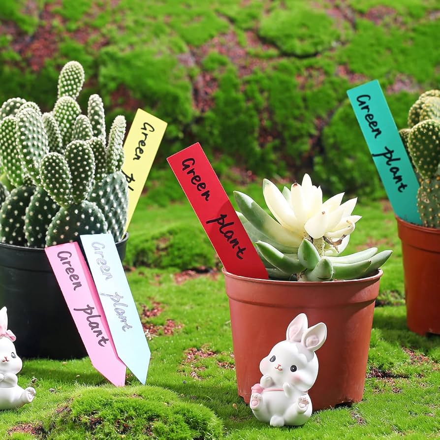 Colourful Plant Tags (Design B)