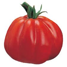 Pomodoro Cuor di Bue (D'Albenga) Seeds – Italian Oxheart Heirloom Tomato