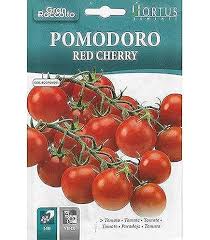 Pomodoro Marmande Seeds – Classic French Heirloom Tomato for Kitchen Gardens