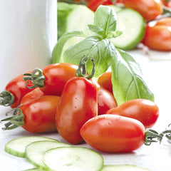 Pomodoro San Marzano 3 Seeds – Italian Plum Tomato for Sauces