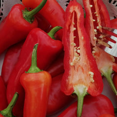 Red Banana Pepper Seeds (Hybrid) – Mild Sweet Chili