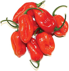 Red Habanero Pepper Seeds (Hybrid) – Spicy Hot Chili