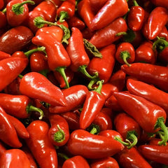 Red Jalapeño Pepper Seeds (Hybrid) – Spicy High-Yield Chili