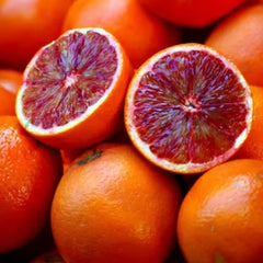 Red Rubi Malta Plant  Premium Blood Orange Variety