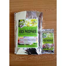 Rock Phosphate (800 gram)