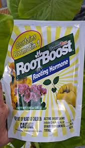 Hormone Rooting Powder 200gm  Faster Root Growth for Cuttings & Plants