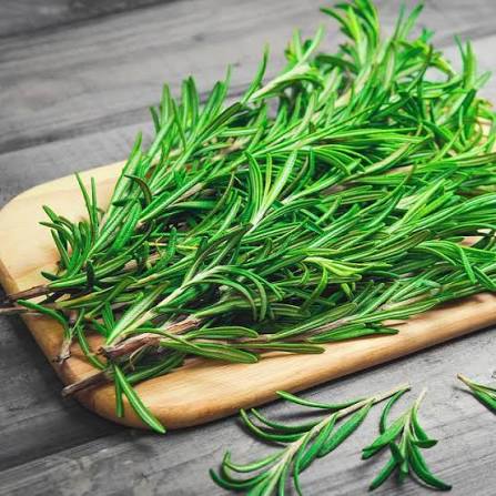 Buy Rosemary Herb Seeds in Pakistan  Culinary & Medicinal Plant