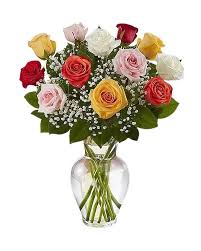 Standard Rose Plant  Elegant, Long-Stemmed Roses for Premium Gardens