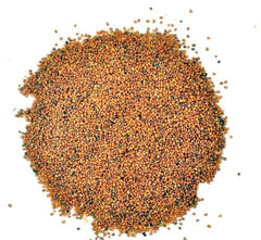 Hybrid Tara Mira (  ) Seeds