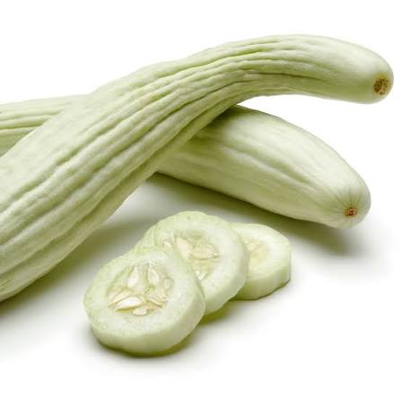 White Melon Cucumber Seeds (Hybrid) – Sweet & Refreshing Summer Vegetable