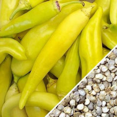 Yellow Banana Pepper Seeds (Hybrid) – Mild Sweet Chili