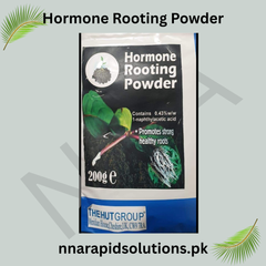 Hormone Rooting Powder 200gm  Faster Root Growth for Cuttings & Plants