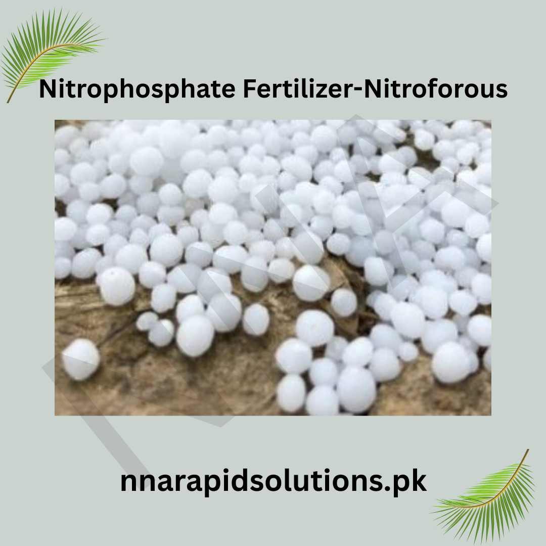 Nitrophosphate Fertilizer-Nitroforous (500 gm) | Phosphorus-Rich Boost for Plant Growth