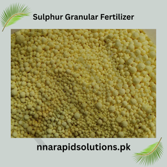 Sulphur Granular Fertilizer (1 kg) | Improve Soil pH & Plant Nutrition