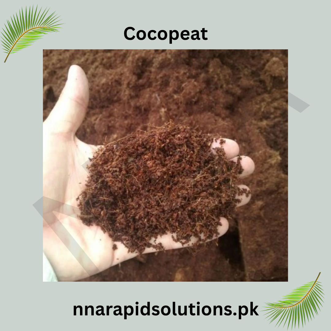Imported Cocopeat 5KG Block – Premium Coco Coir Growing Medium
