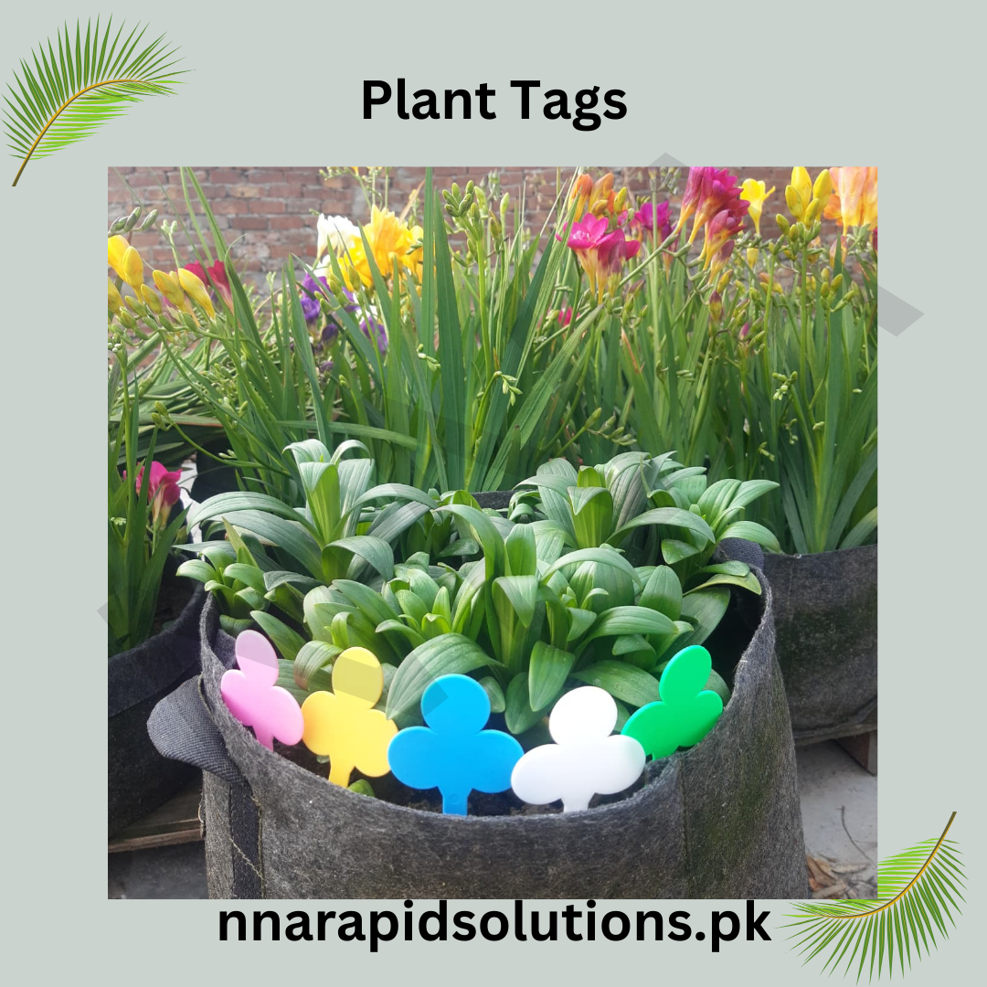 Colourful Plant Tags (Design B)