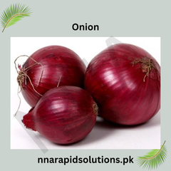 Nasarpuri Onion Seedlings (per kg)  Premium Variety for High Yield & Great Taste
