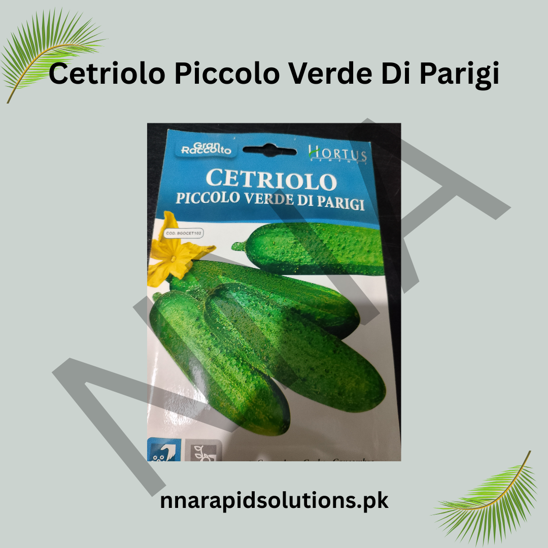 Cetriolo Piccolo Verde di Parigi Seeds – Parisian Pickling Cucumber