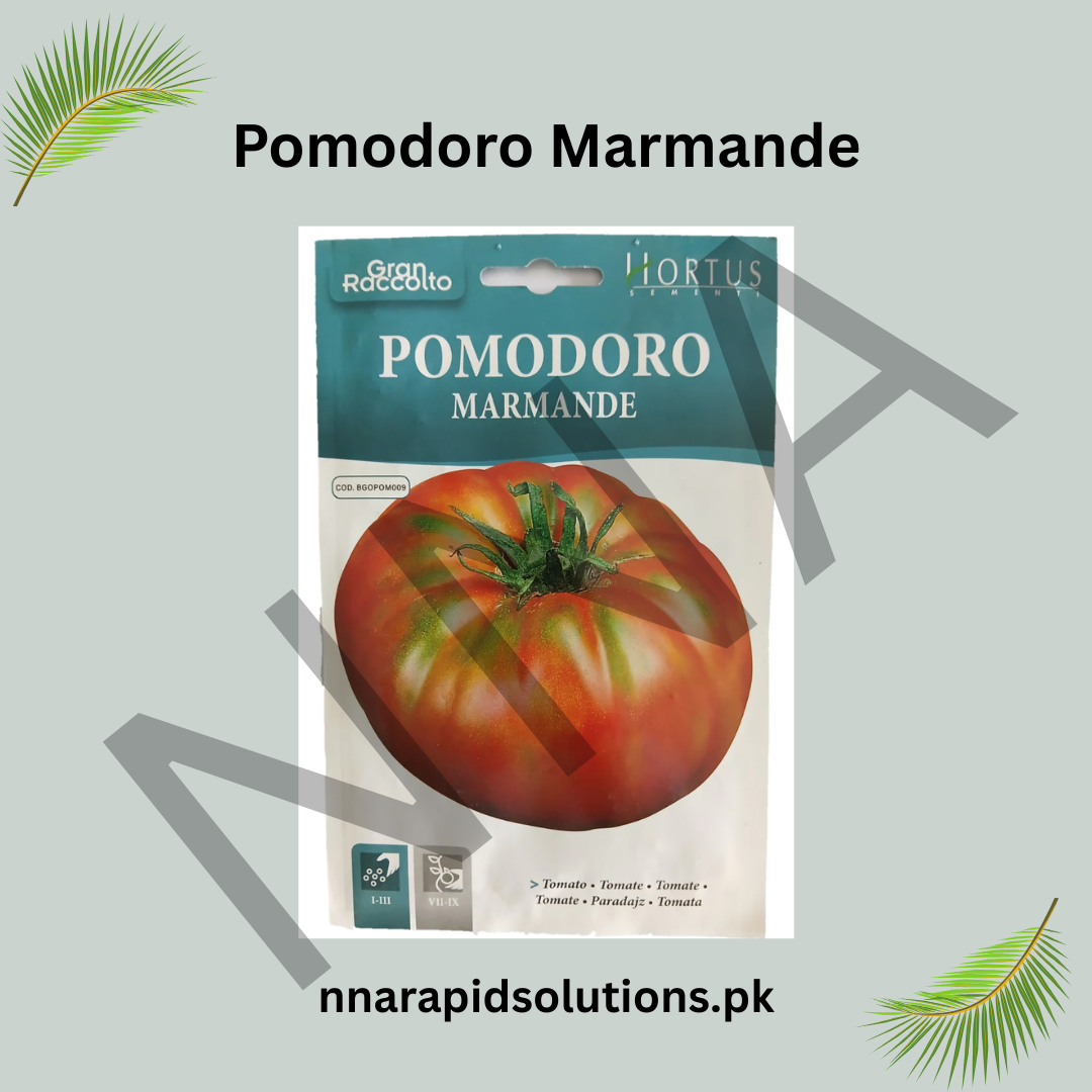 Pomodoro Marmande Seeds – Classic French Heirloom Tomato for Kitchen Gardens