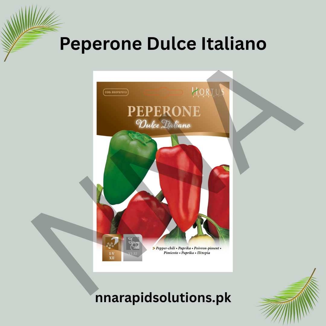 Peperone Dulce Italiano Seeds – Sweet Italian Pepper for Kitchen Gardens