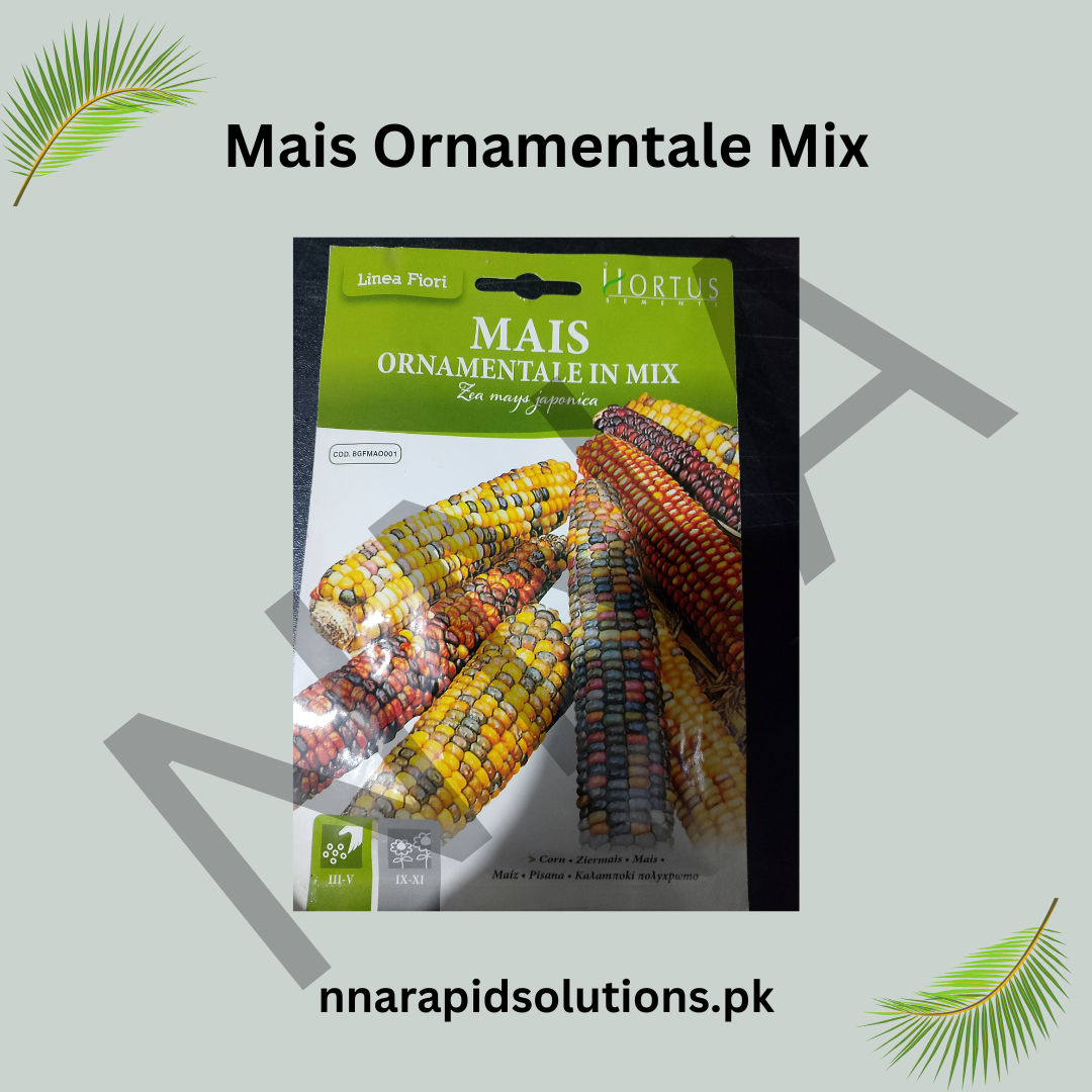Mais Ornamentale Mix Seeds – Colorful Ornamental Corn for Decorative Gardens