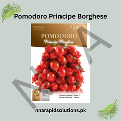 Pomodoro Principe Borghese Seeds – Italian Heirloom Tomato for Drying & Cooking