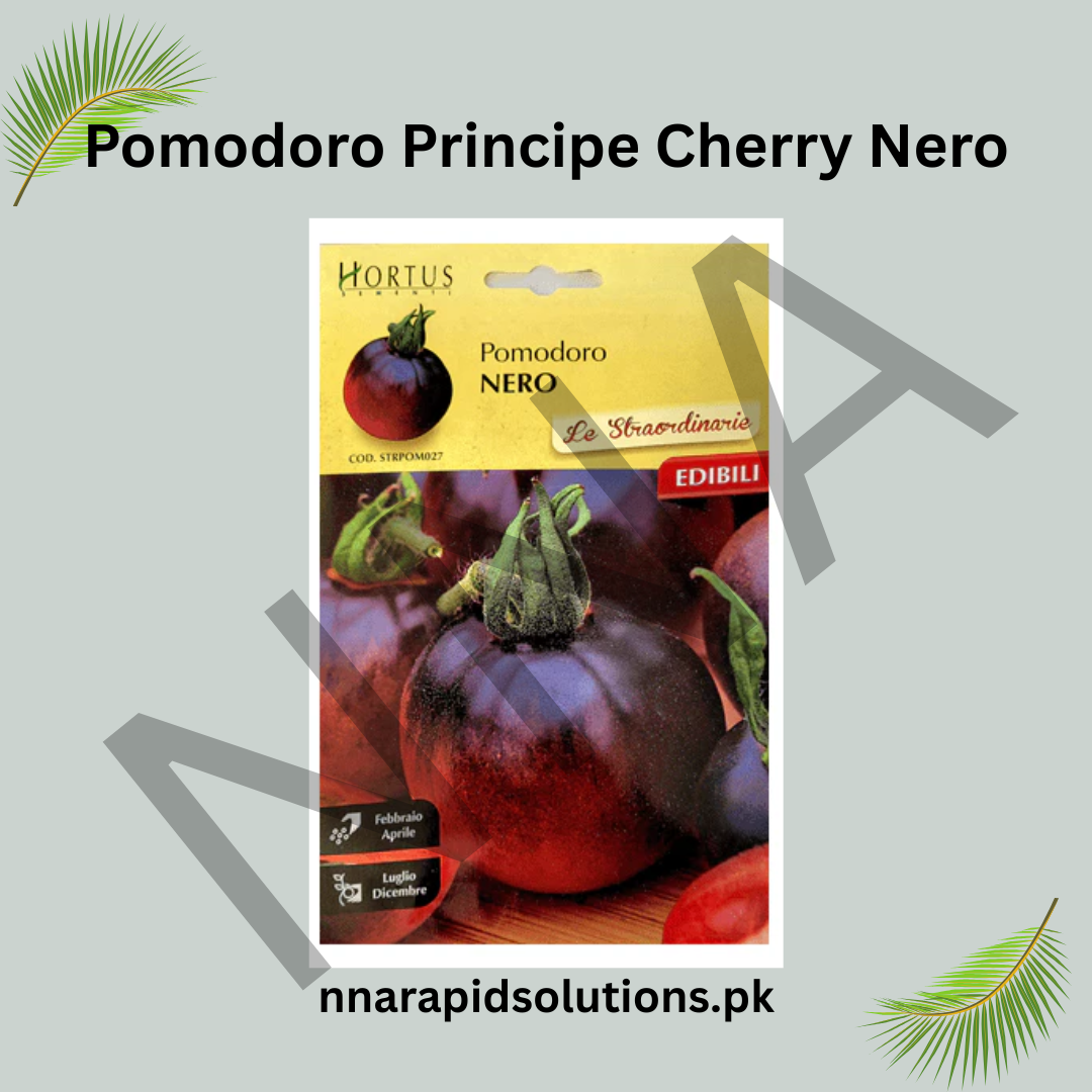 Pomodoro Principe Cherry Nero Seeds – Black Cherry Tomato for Kitchen Gardens