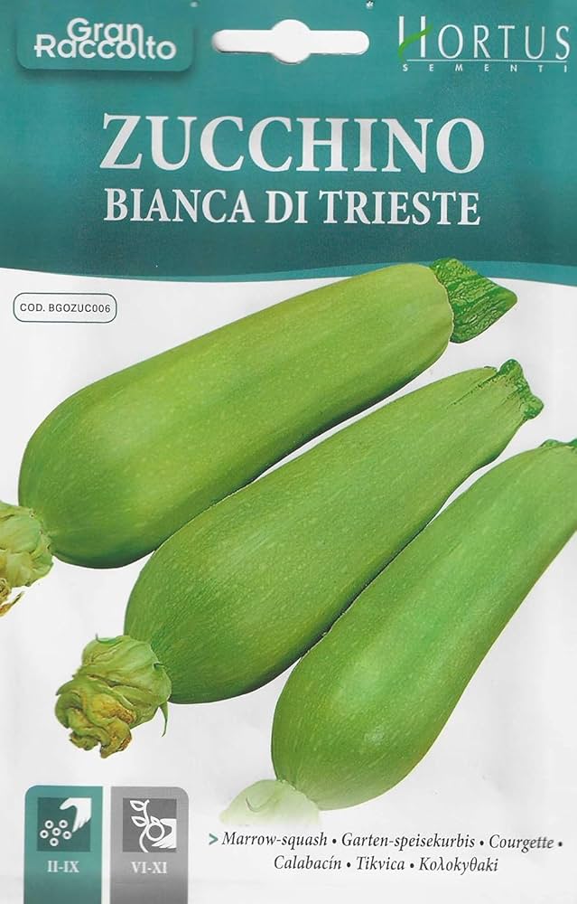 Zucchino Bianca di Trieste Seeds – Italian Zucchini